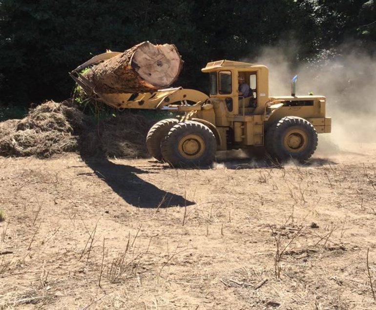 Strode Engineering can assist with your logging transportation needs.