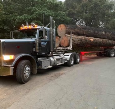 Strode Engineering hauling logs.