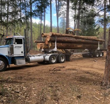 Logging services by Strode Engineering.